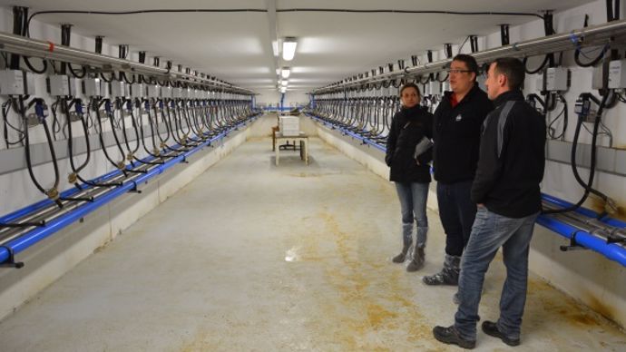 Chaque poste de traite descend sous la fosse pour faciliter la maintenance.