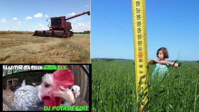 Images issues des réseaux sociaux