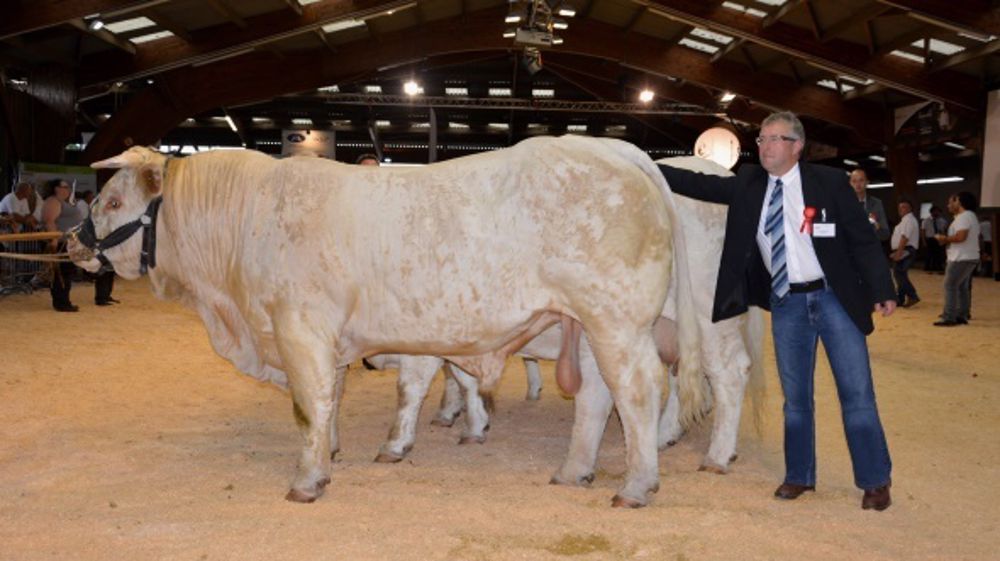 L'an dernier fût marqué par le<a target="_self" href="http://www.web-agri.fr/conduite-elevage/genetique-race/article/palmares-et-photos-du-concours-national-charolais-au-marault-1175-103150.html"> Mondial Charolais, qui a réuni au Marault </a>tous les acteurs de la filière à l’occasion des 150 ans de l’association. L’organisation du congrès a accueilli un grand nombre d’associations charolaises étrangères, avec plus d