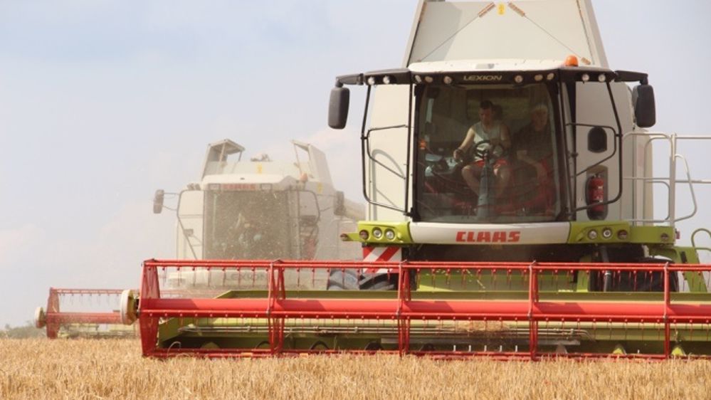 En Ukraine et en Russie, les agriculteurs sont en retard dans leur récolte. (©Terre-net Média)