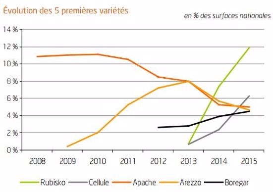 Evolution des surfaces des 5 premières variétés de blé tendre.