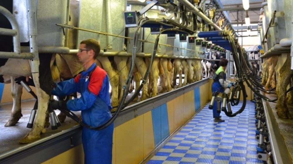 La filière laitière est à l'honneur cette année pour le concours Graines d'agriculteurs. (©Terre-net Média)