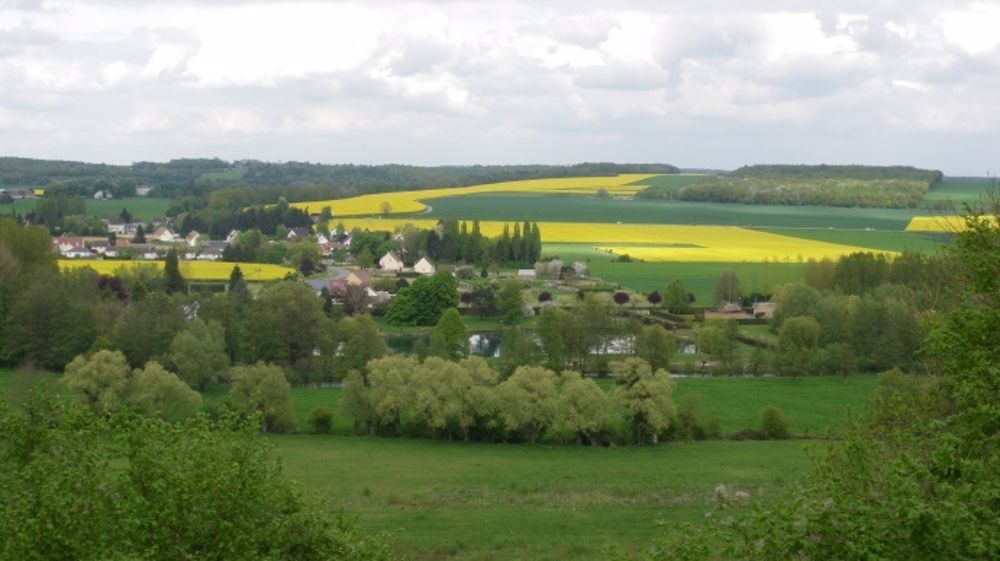 Les cultures et les prairies stockent du carbone dans la biomasse et dans le sol. (©Terre-net Média)