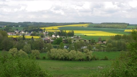 Les cultures et les prairies stockent du carbone dans la biomasse et dans le sol. (©Terre-net Média)