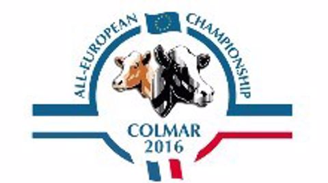 Logo Colmar 2016 Logo Colmar 2016