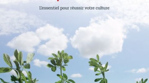 La luzerne en questions. (©Jouffray-Drillaud) La luzerne en questions. (©Jouffray-Drillaud)