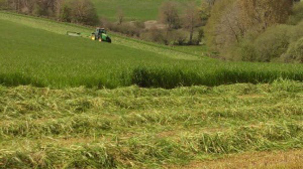 Faucher et récolter aux moments optimaux. ©DR