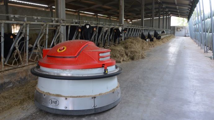 Lely Junod