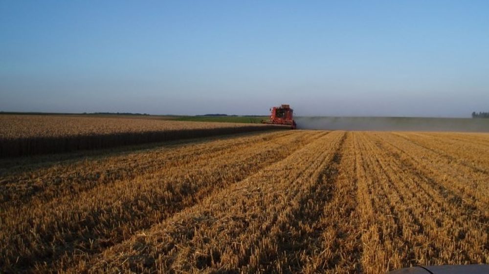 L'Usda publiera mercredi un rapport mensuel sur l'offre et la demande, qui permettra au marché de se faire une idée de l'état des stocks et des perspectives de rendements des cultures en cours. (©Terre-net Média)