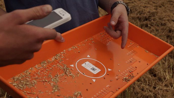 Grain tablet