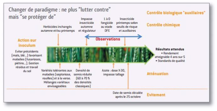 Conduite intégrée du blé