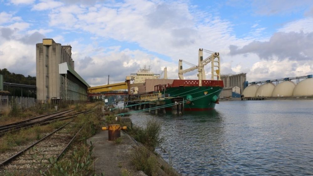 Le blé américain n'est pas compétitif à l'exportation. (©Terre-net Média)