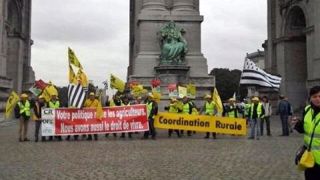 La Coordination Rurale manifeste à Bruxelles ce lundi 7 septembre aux cotés de l'Emb, l'Apli et la Confédération Paysanne. (©Coordination Rurale) La Coordination Rurale manifeste à Bruxelles ce lundi 7 septembre aux cotés de l'Emb, l'Apli et la Confédération Paysanne. (©Coordination Rurale)