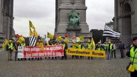 La Coordination Rurale manifeste à Bruxelles ce lundi 7 septembre aux cotés de l'Emb, l'Apli et la Confédération Paysanne. (©Coordination Rurale) 