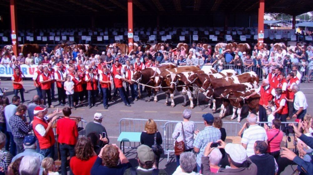Le concours s’est déroulé dans une bonne ambiance et sous un beau soleil avec un public professionnel le samedi pendant le concours et citadin le dimanche pour le défilé grand public. (©DR)