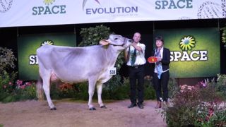 Tous les palmarès et vidéos des concours bovins Tous les palmarès et vidéos des concours bovins