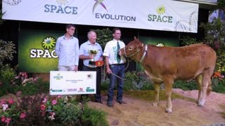 Infidèle remporte le titre de meilleur animal du concours Limousin. (©Arsoe) Infidèle remporte le titre de meilleur animal du concours Limousin. (©Arsoe)