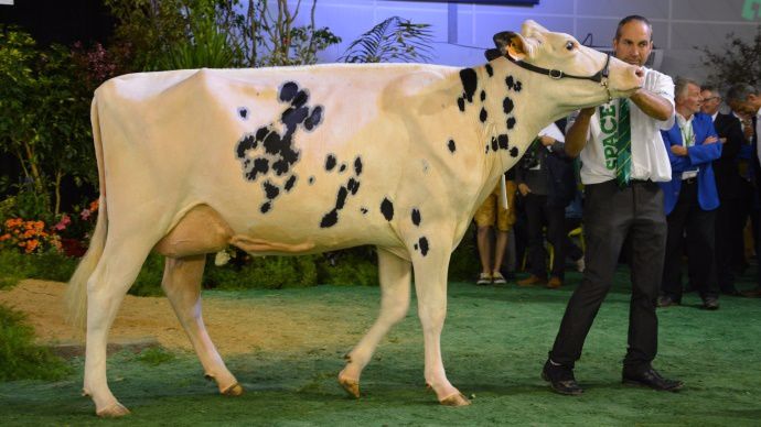 Capj Irana au Gaec Cabon, la championne espoir.