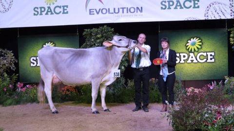 Harmonie sacrée grande championne du Space 2015 en race brune. (©Arsoe)