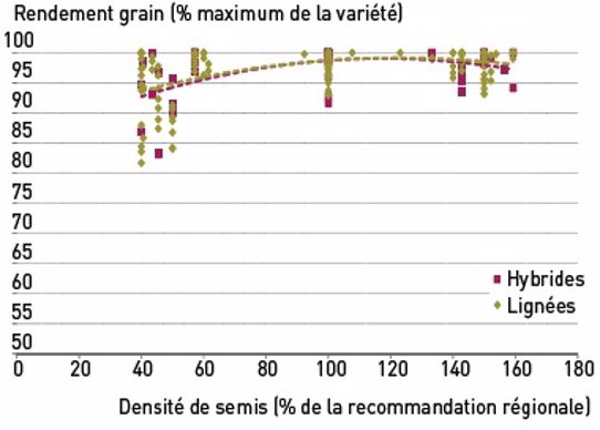 Figure 1 : Réponse du rendement du blé tendre à la densité de semis : distinction entre hybrides (5 variétés) et lignées (10 variétés), hors situations versées