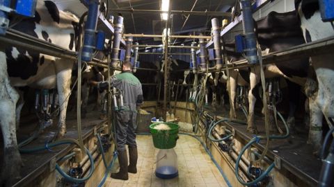 Le médiateur des relations commerciales estime que les transformateurs peuvent faire un effort de revalorisation des prix payés aux éleveurs pour le dernier trimestre 2015. (©Xavier Remongin Min.Agr)