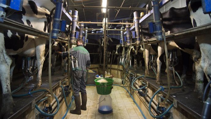 Le médiateur des relations commerciales estime que les transformateurs peuvent faire un effort de revalorisation des prix payés aux éleveurs pour le dernier trimestre 2015.