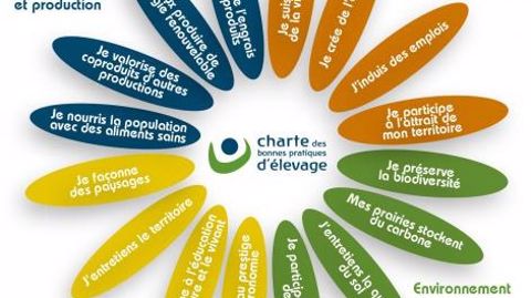 « La fleur des services» détaille tout ce que l’élevage apporte à la société autour de 4 thématiques : alimentation et production, vitalité territoriale, patrimoine et qualité de vie, environnement. (©DR) « La fleur des services» détaille tout ce que l’élevage apporte à la société autour de 4 thématiques : alimentation et production, vitalité territoriale, patrimoine et qualité de vie, environnement. (©DR)