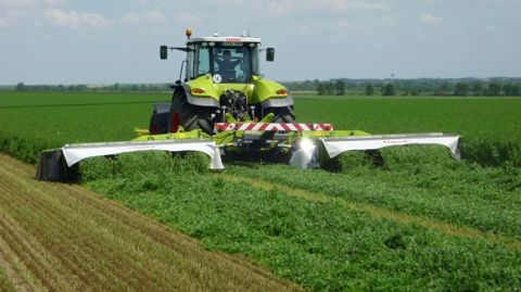 Pour produire une tonne de protéines, il faut 2,5 t de soja, soit la production de 1,315 ha. A partir de luzerne, il faut 13 tonnes de matière sèche, soit la production de 0,625 ha. (©Terre-net Média)