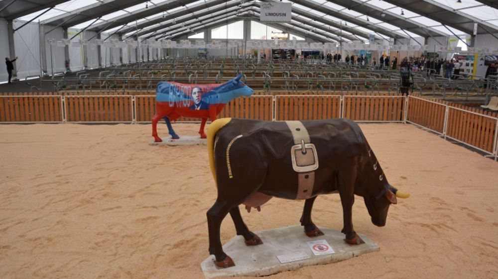 Seules les vaches en plastique sont acceptées sur le ring du Sommet de l’élevage. Dans le hall viande, comme dans le hall lait, toutes les stalles sont vides. Seuls quelques ovins issus de « la zone rouge » ont eu droit de se rendre à Cournon. (©Terre-net Média)
