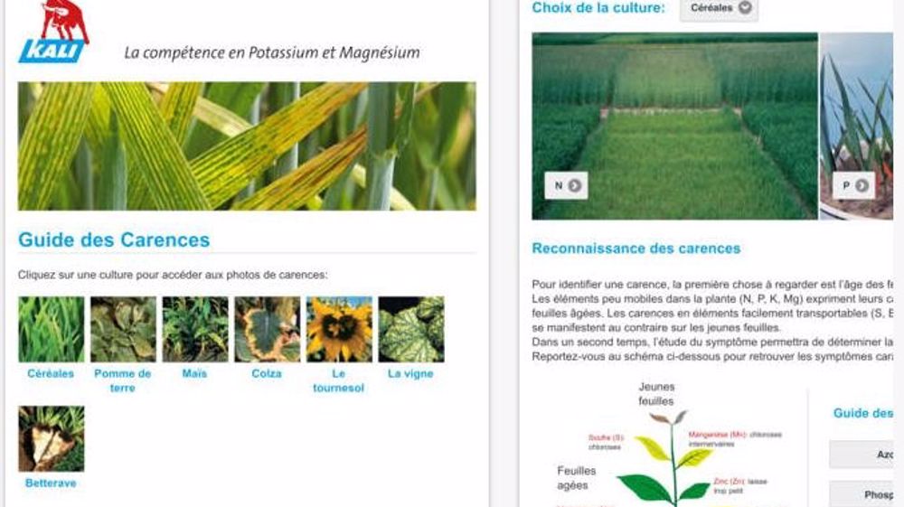 Captures d'écran de l'appli Kali-Toolbox. (©AppStore)