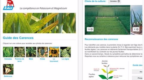 Captures d'écran de l'appli Kali-Toolbox. (©AppStore)