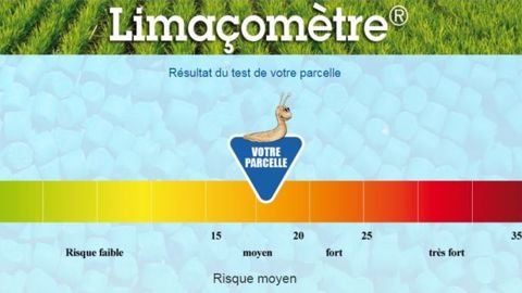 Certis propose le Limaçomètre pour évaluer la pression limace d'une parcelle. (©Certis)