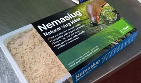Nemaslug, des nématodes contre les limaces. (©BASF)