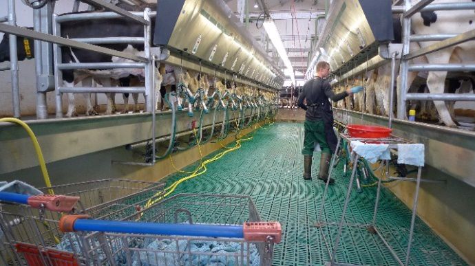 La récente salle de traite 2x20