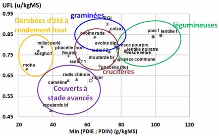 Valeurs énergétiques et azotées des 17 couverts végétaux utilisés en interculture