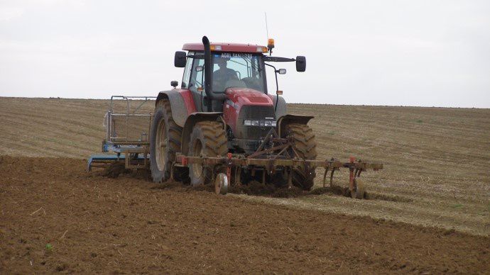 Semis de blé