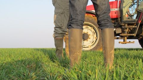 Terre-net recrute un journaliste agricole. (©Terre-net Média)