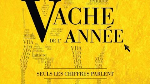 Cliquez pour voir le <a target="_blank" href="http://primholstein.com/la-vache-de-lannee-palmares-2015/">palmarès de la Vache de l'année 2015 </a>(©PHF) Cliquez pour voir le <a target="_blank" href="http://primholstein.com/la-vache-de-lannee-palmares-2015/">palmarès de la Vache de l'année 2015 </a>(©PHF)
