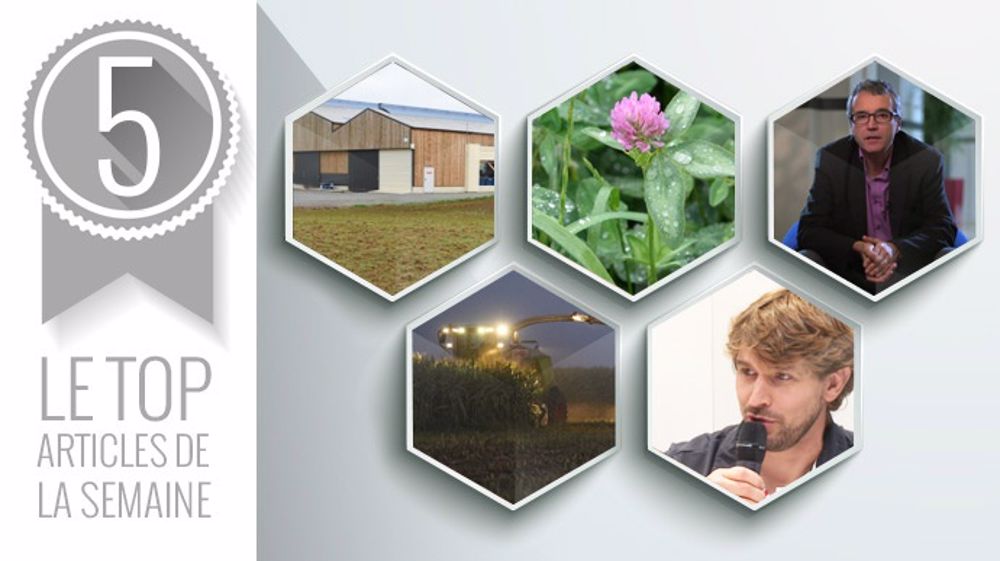 Les cinq articles les plus lus sur Web-agri cette semaine. (©Terre-net Média) Les cinq articles les plus lus sur Web-agri cette semaine. (©Terre-net Média)