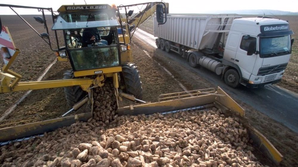 La tare terre reste limitée à 8,3 % pour 70 % de betteraves déterrées. (©CGB)