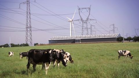 Fin des tarifs réglementés d'électricité pour les agriculteurs consommant une puissance supérieure à 36 kVa. (©Terre-net Média)