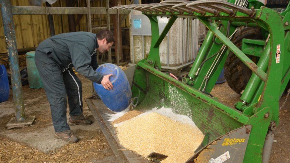 L'accroissement des performances zootechniques, la réduction des fumures ou l'intensification fourragère augmentent les besoins des animaux en minéraux et notamment en oligoéléments. (©Terre-net Média)