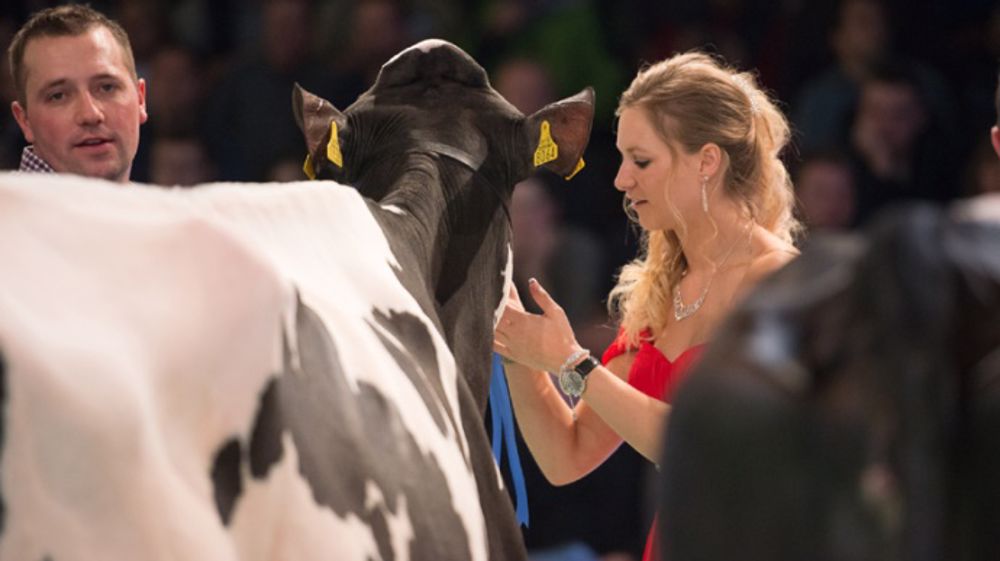 Swiss'expo fait l'unanimité avec son atmosphère si particulière. Que nous réserve cette édition, la vingtième ? (© Sébastien Toledo) Swiss'expo fait l'unanimité avec son atmosphère si particulière. Que nous réserve cette édition, la vingtième ? (© Sébastien Toledo)