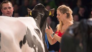 Swiss'expo fait l'unanimité avec son atmosphère si particulière. Que nous réserve cette édition, la vingtième ? (© Sébastien Toledo) Swiss'expo fait l'unanimité avec son atmosphère si particulière. Que nous réserve cette édition, la vingtième ? (© Sébastien Toledo)