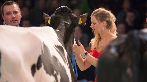 Swiss'expo fait l'unanimité avec son atmosphère si particulière. Que nous réserve cette édition, la vingtième ? (© Sébastien Toledo) Swiss'expo fait l'unanimité avec son atmosphère si particulière. Que nous réserve cette édition, la vingtième ? (© Sébastien Toledo)