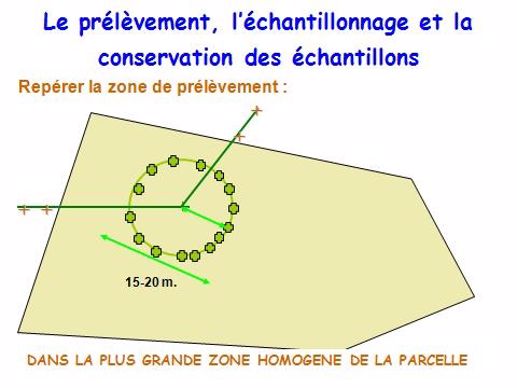 Zone de prélèvement. 