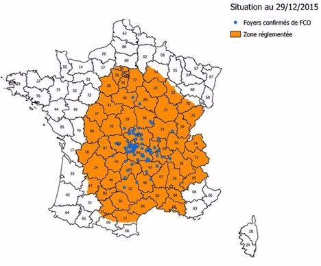 Zone réglementée FCO depuis le 30 décembre 2015.