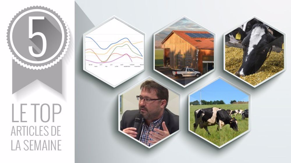 Le Top articles de la semaine sur Web-agri. (©Terre-net Média) Le Top articles de la semaine sur Web-agri. (©Terre-net Média)