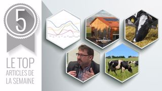 Le Top articles de la semaine sur Web-agri. (©Terre-net Média) Le Top articles de la semaine sur Web-agri. (©Terre-net Média)