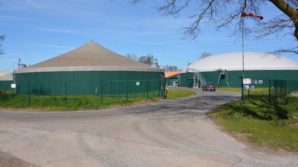 Chez nos voisins européens, il n'est pas rare de voir des unités de méthanisation tourner uniquement au maïs ensilage. Pour éviter cela, le gouvernement français veut conditionner les tarifs à l'utilisation de cultures intermédiaires. (©Terre-net Média)